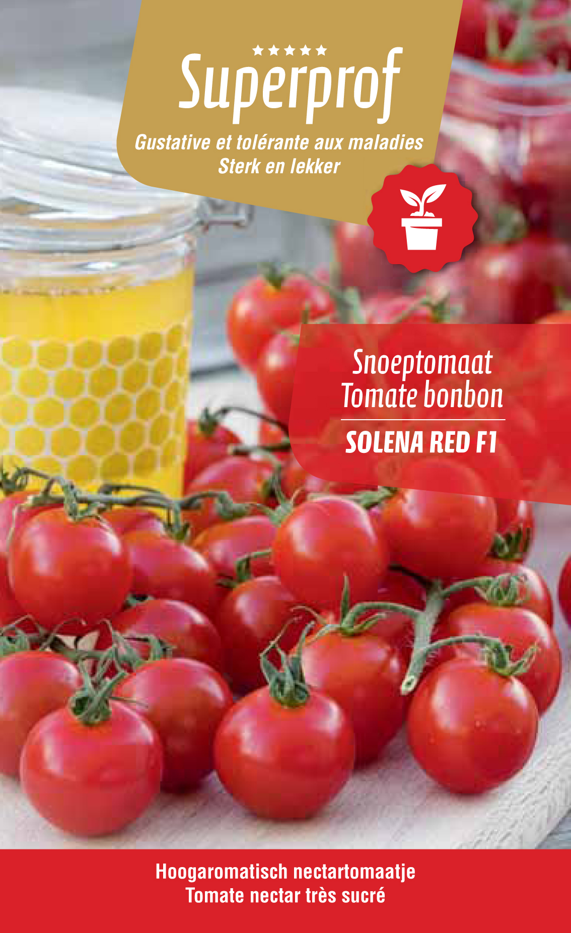 Tomate nectar très sucré (tray 8 pot)